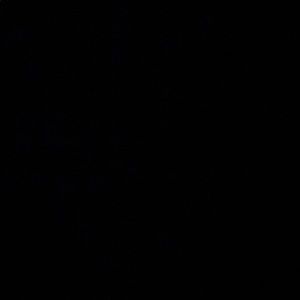 Meet your Posher, Claire